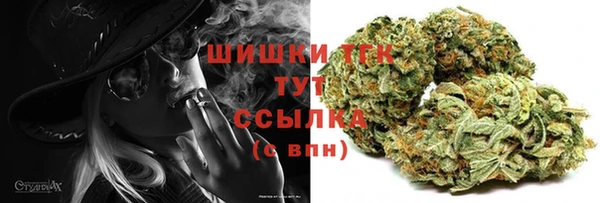 гашик Сатка