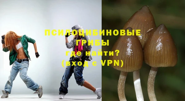 гашик Сатка
