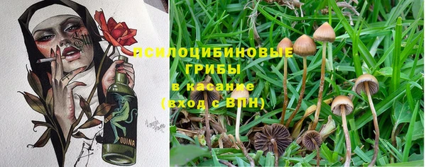 гашик Сатка