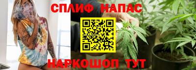 ECSTASY Гатчина