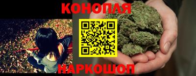 ECSTASY Гатчина