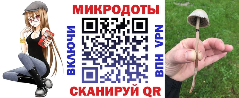 Галлюциногенные грибы Psilocybine cubensis  Егорьевск 