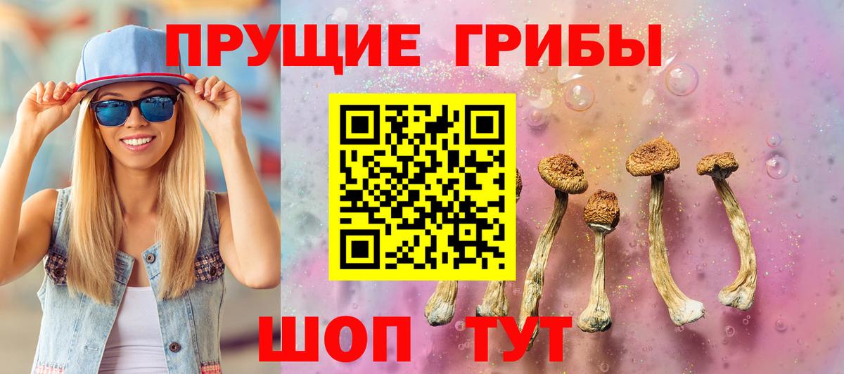 Псилоцибиновые грибы мицелий  Галлюциногенные грибы Cubensis  Егорьевск  Вход с VPN 
