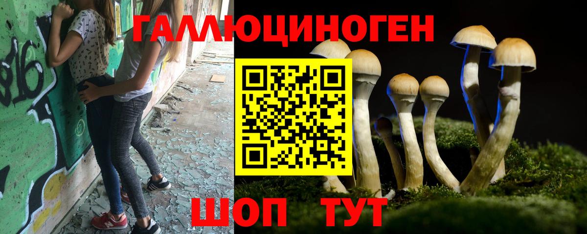 Псилоцибиновые грибы Magic Shrooms Егорьевск